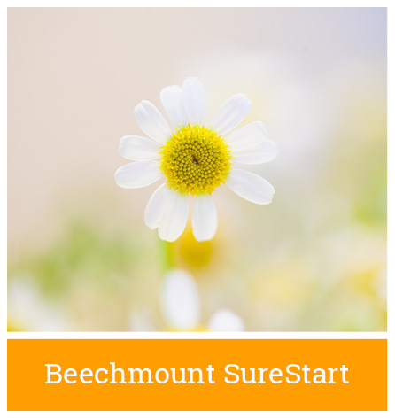 Blackie River Community Group | Beechmount SureStart